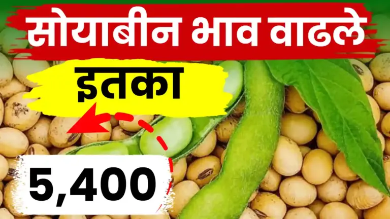 Soyabin bajarbhav ; सोयाबीन भाव वाढले,पहा सध्या काय भाव मिळतोय.