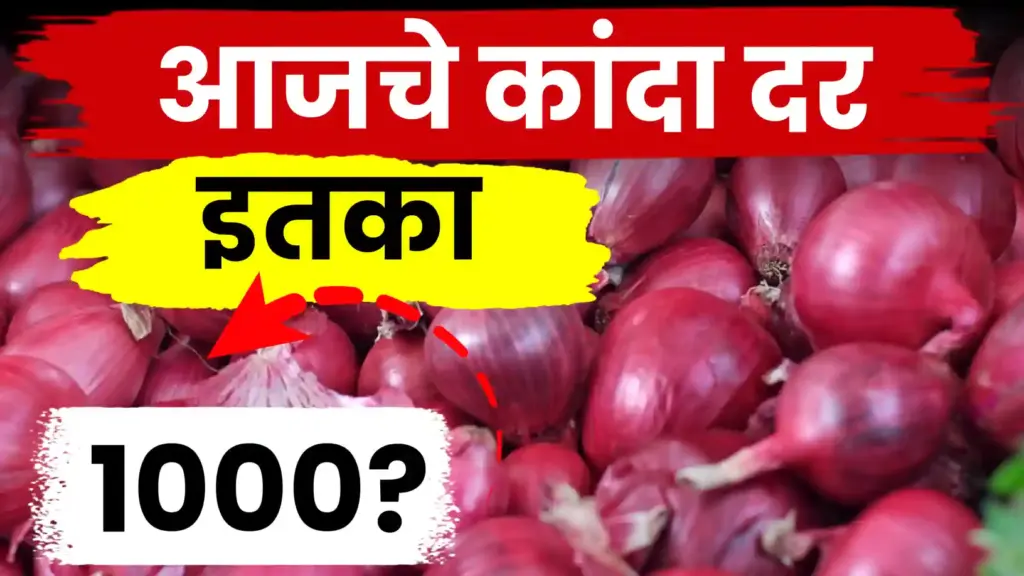 कांदा बाजारात घसरण सुरूच: सोलापुरात भाव ८५० रुपयांवर, नाशिकमध्येही शेतकरी हवालदिल!